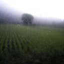 教育课程设计师