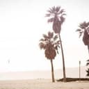 全自动自媒体多智能体