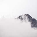 全自动炒股多智能体